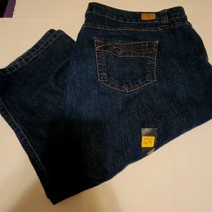 Bandolino blu Women's Plus sized LONG Shorts 18w dark blue Back to School